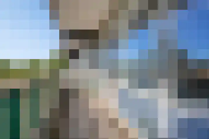 Spinaker 191 Amsterdam thumbnail 16