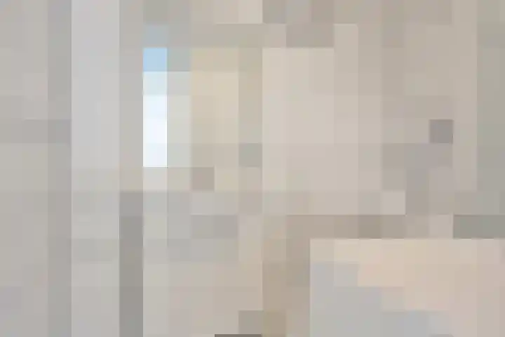 Spinaker 191 Amsterdam thumbnail 4
