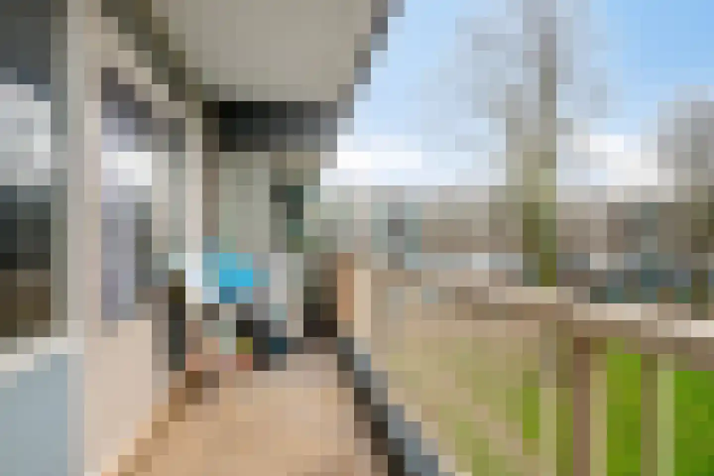 Spinaker 39 Amsterdam thumbnail 23