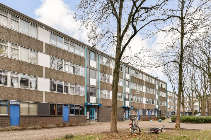 Spinaker 49 dans Amsterdam photo