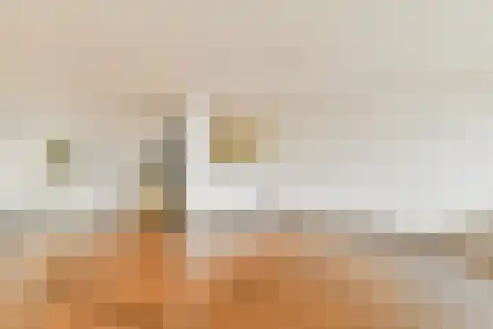Spinaker 49 Amsterdam thumbnail 7
