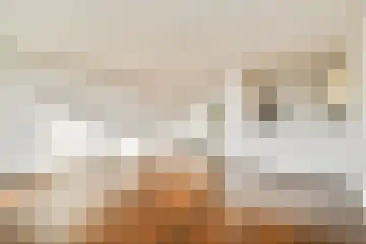 Spinaker 49 Amsterdam thumbnail 8