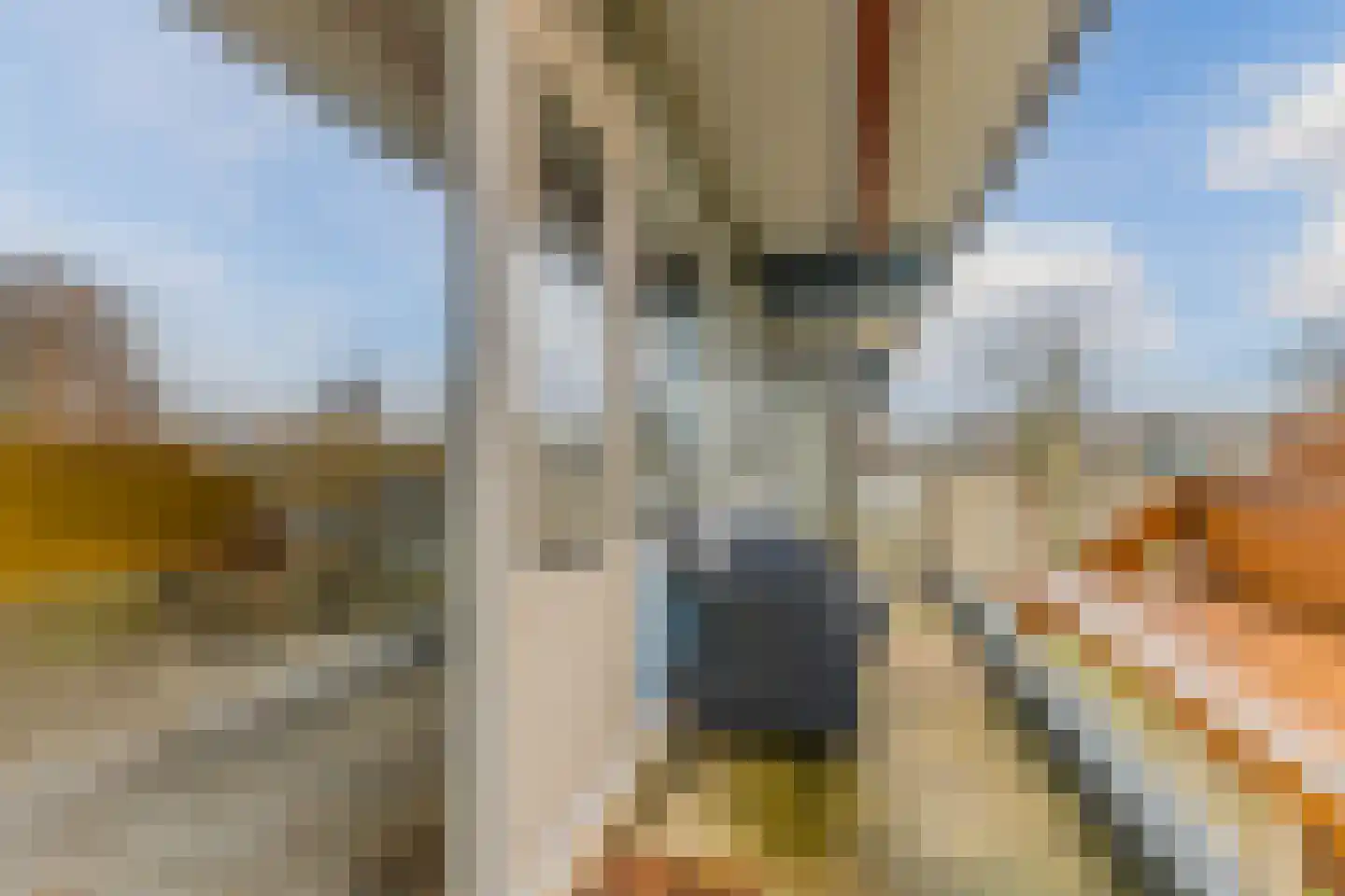 Spinaker 77 Amsterdam thumbnail 36