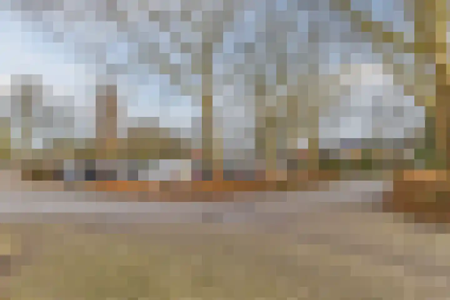 Spinaker 77 Amsterdam thumbnail 40