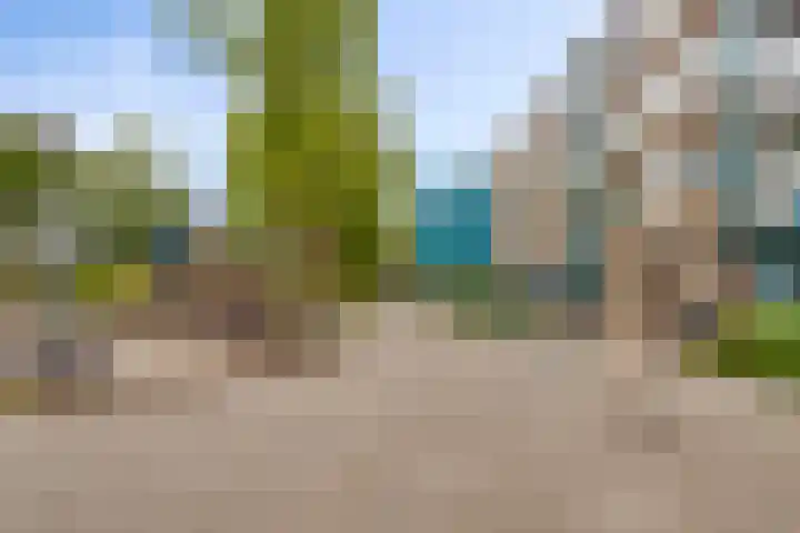 Spinaker 85 Amsterdam thumbnail 21
