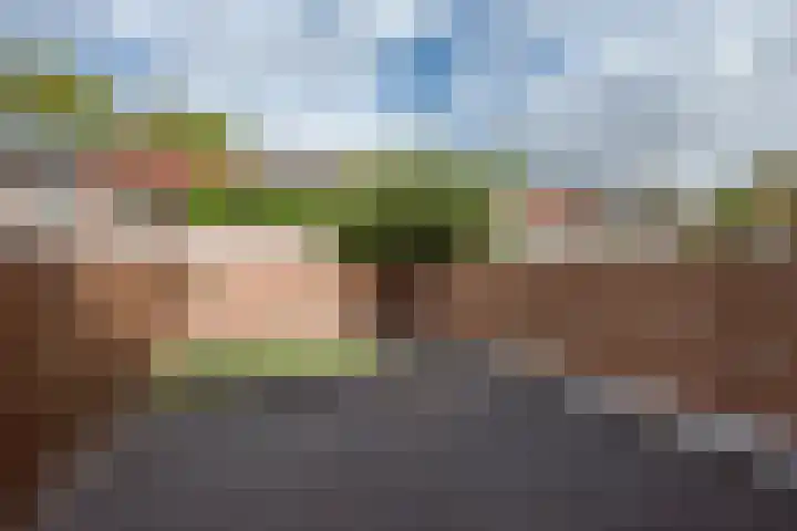 Spinazieakker 15 Zoetermeer thumbnail 10