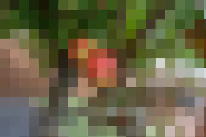 Spinazieakker 15 Zoetermeer thumbnail 11