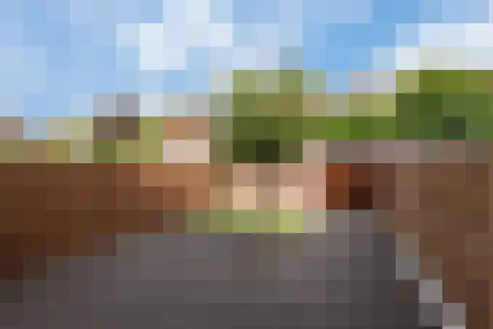 Spinazieakker 15 Zoetermeer thumbnail 12