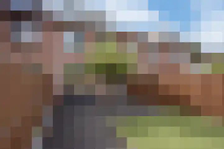 Spinazieakker 15 Zoetermeer thumbnail 13