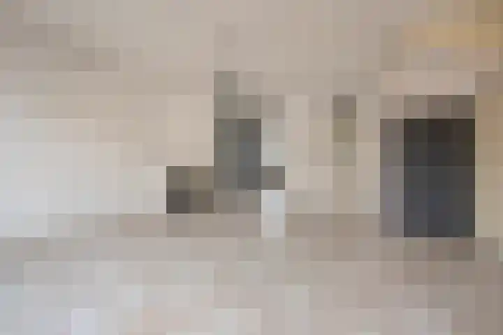 Spinazieakker 15 Zoetermeer thumbnail 14