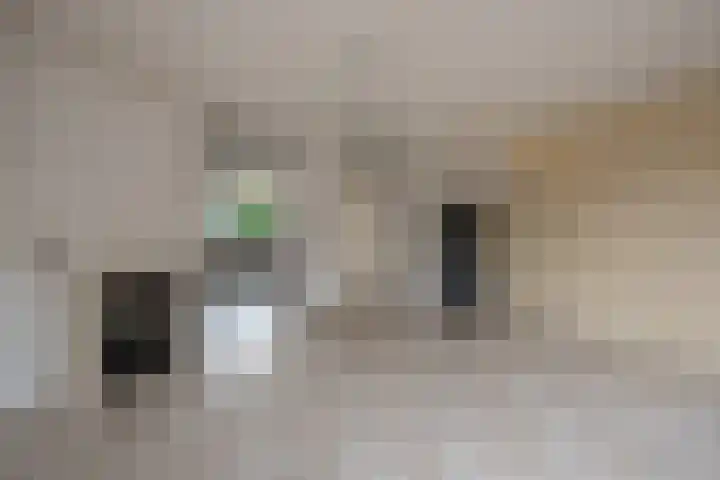 Spinazieakker 15 Zoetermeer thumbnail 15