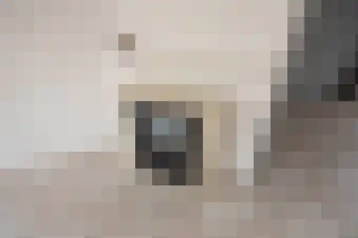 Spinazieakker 15 Zoetermeer thumbnail 16