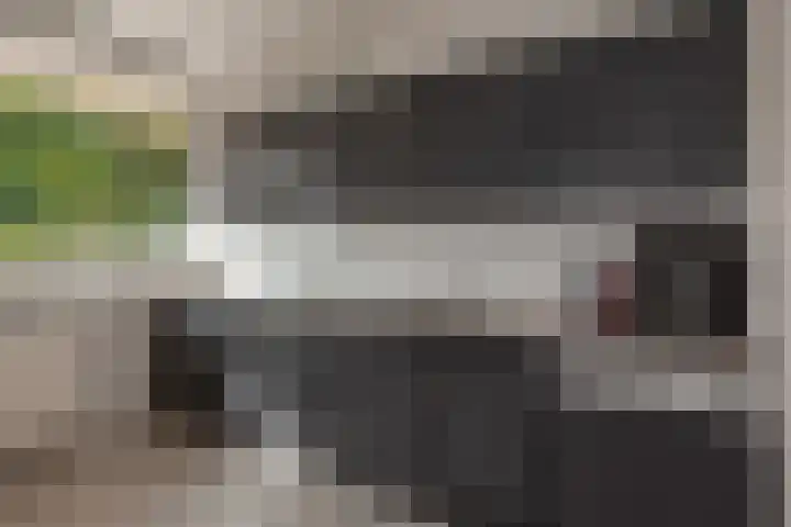 Spinazieakker 15 Zoetermeer thumbnail 17