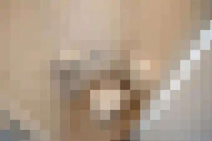 Spinazieakker 15 Zoetermeer thumbnail 19