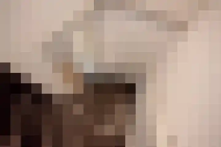 Spinazieakker 15 Zoetermeer thumbnail 20