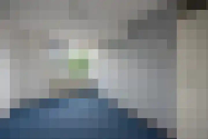Spinazieakker 15 Zoetermeer thumbnail 21
