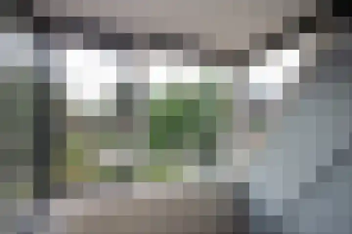 Spinazieakker 15 Zoetermeer thumbnail 22