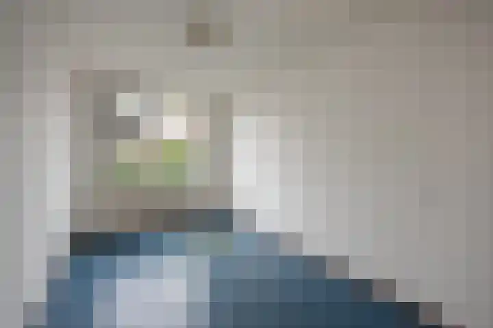 Spinazieakker 15 Zoetermeer thumbnail 29