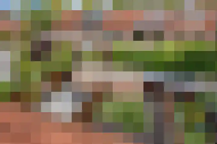 Spinazieakker 15 Zoetermeer thumbnail 34