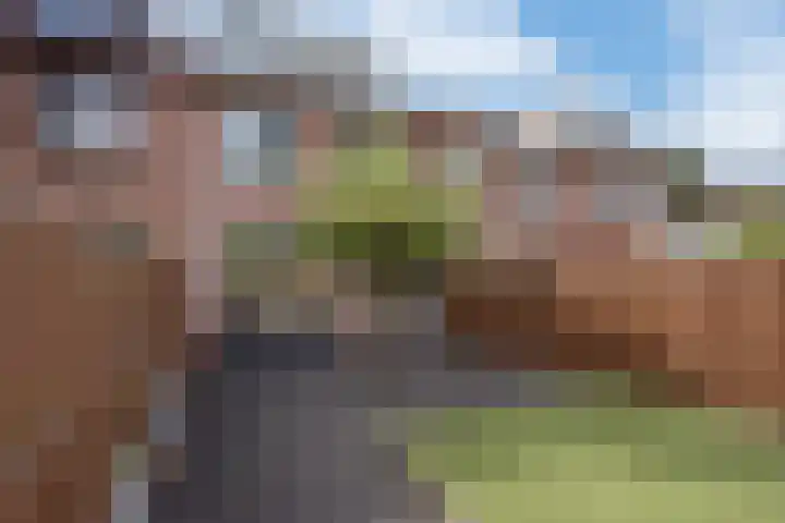 Spinazieakker 15 Zoetermeer thumbnail 4