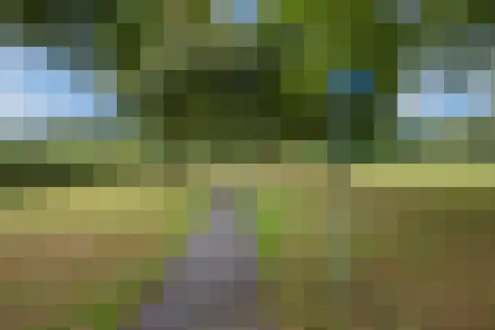 Spinazieakker 15 Zoetermeer thumbnail 40