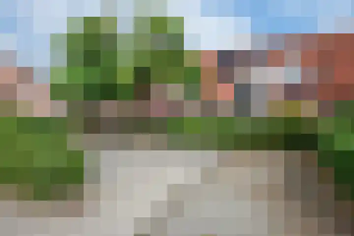 Spinazieakker 15 Zoetermeer thumbnail 5