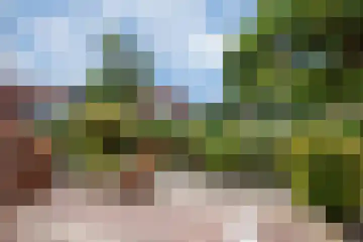 Spinazieakker 15 Zoetermeer thumbnail 7