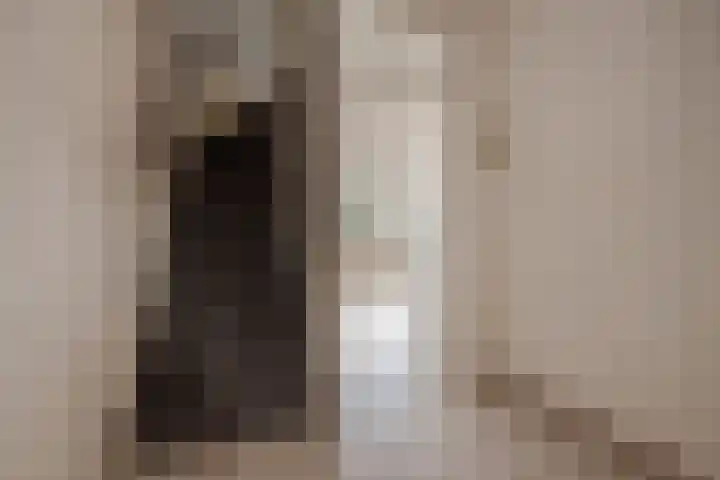 Spinazieakker 15 Zoetermeer thumbnail 8