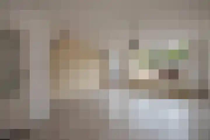 Spinazieakker 15 Zoetermeer thumbnail 9