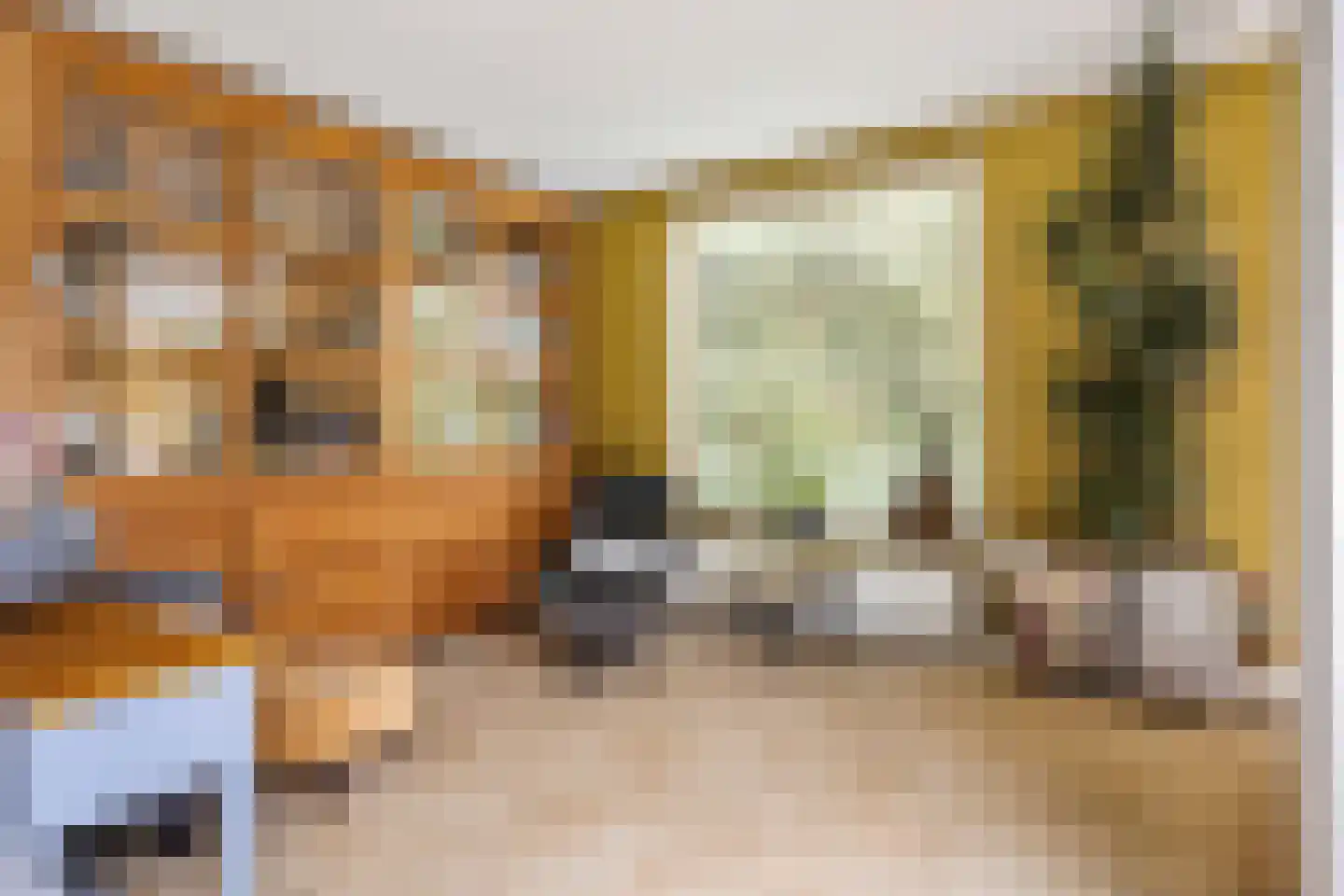 Spinaziestraat 5 Wateringen thumbnail 10