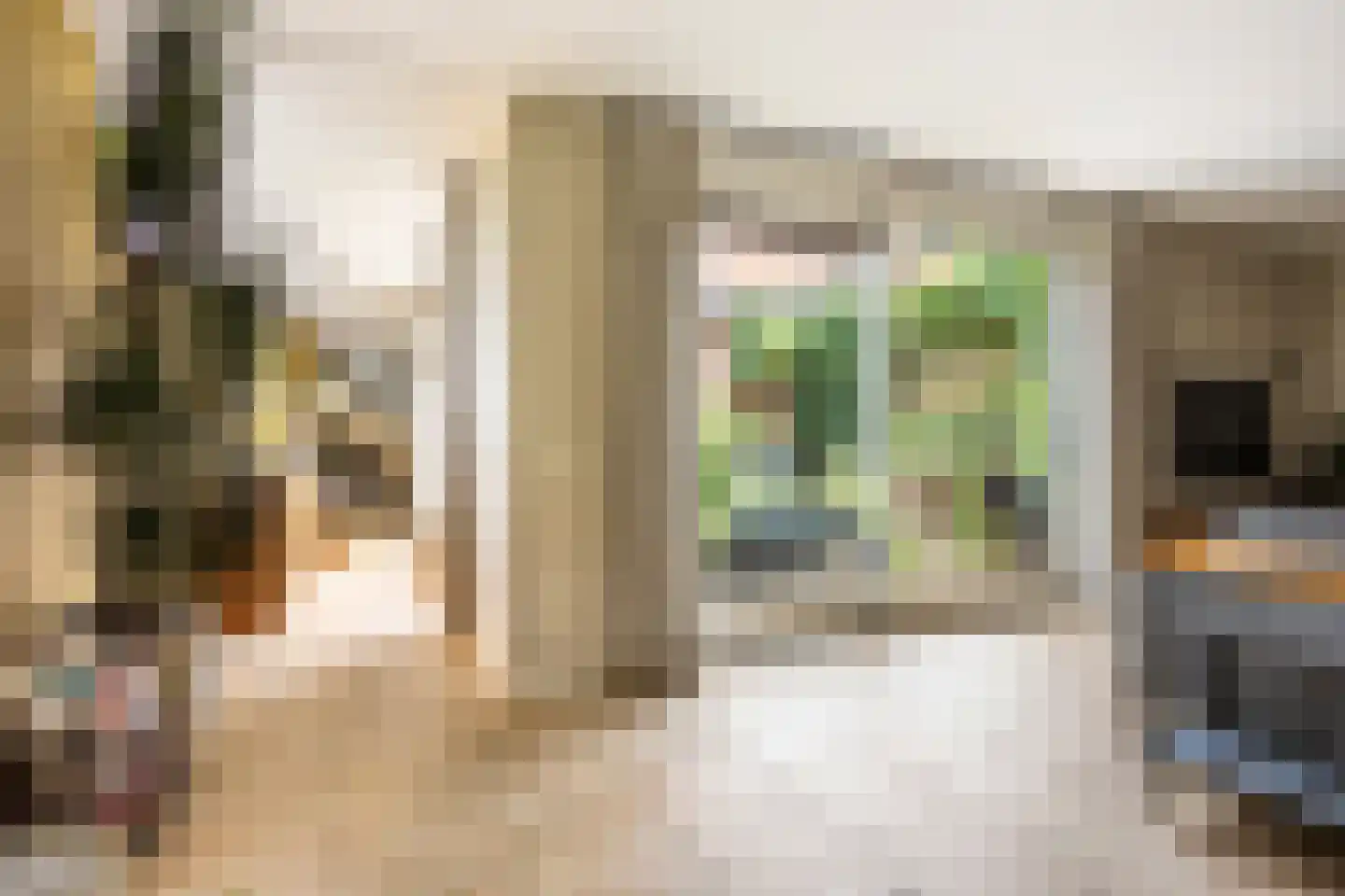 Spinaziestraat 5 Wateringen thumbnail 11