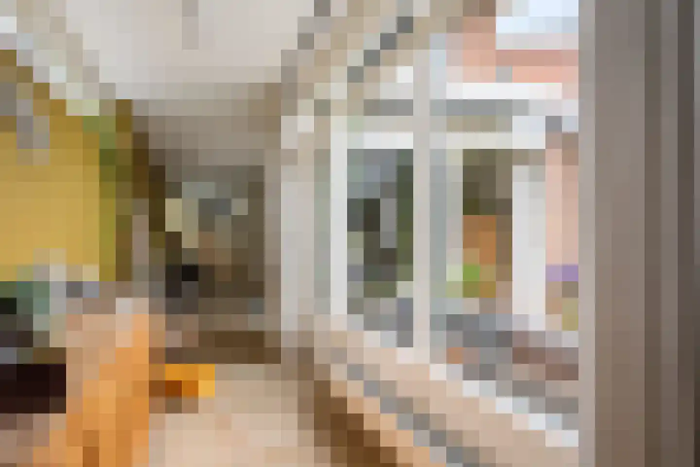 Spinaziestraat 5 Wateringen thumbnail 13