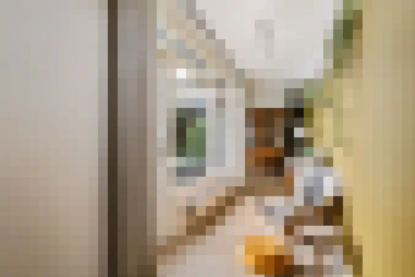Spinaziestraat 5 Wateringen thumbnail 14
