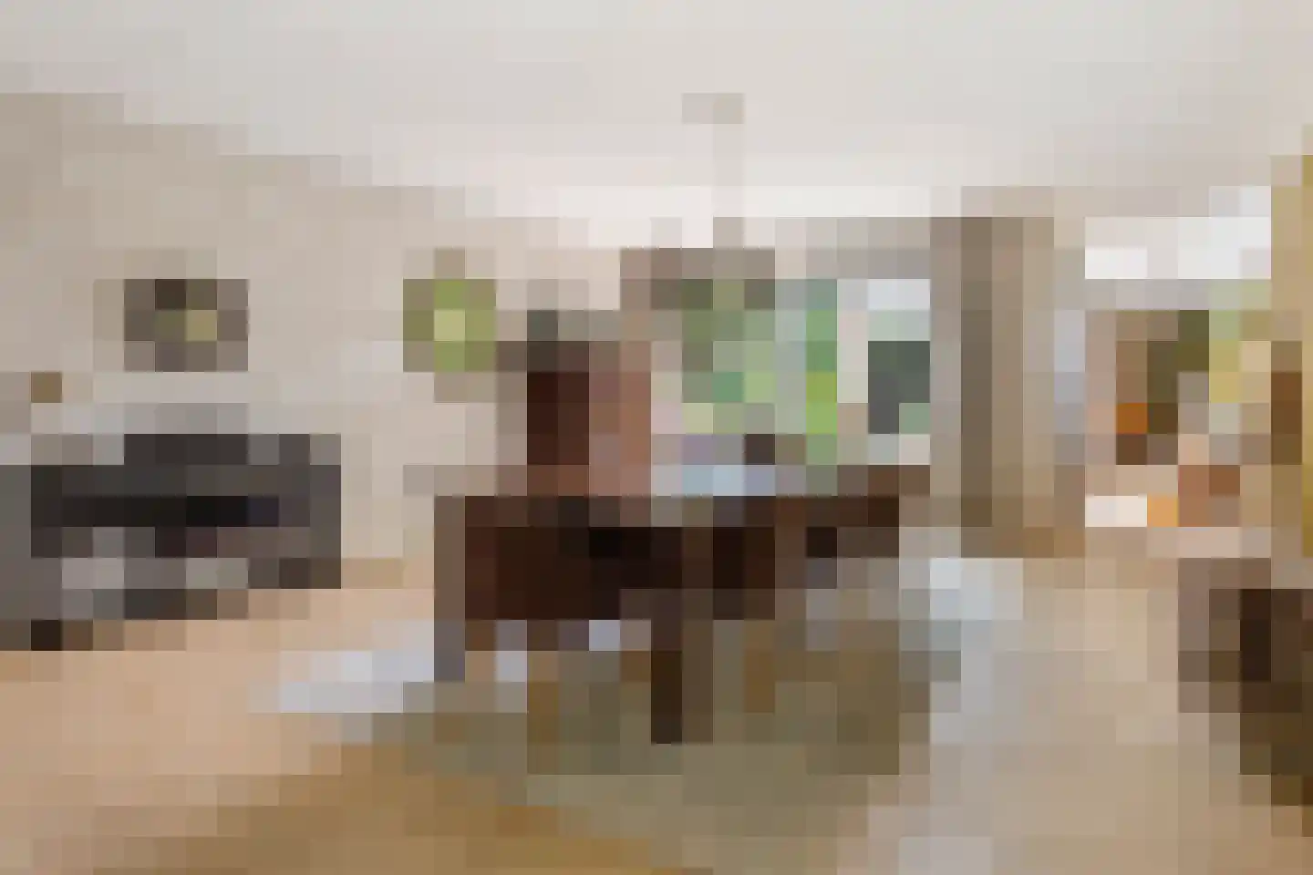 Spinaziestraat 5 Wateringen thumbnail 18