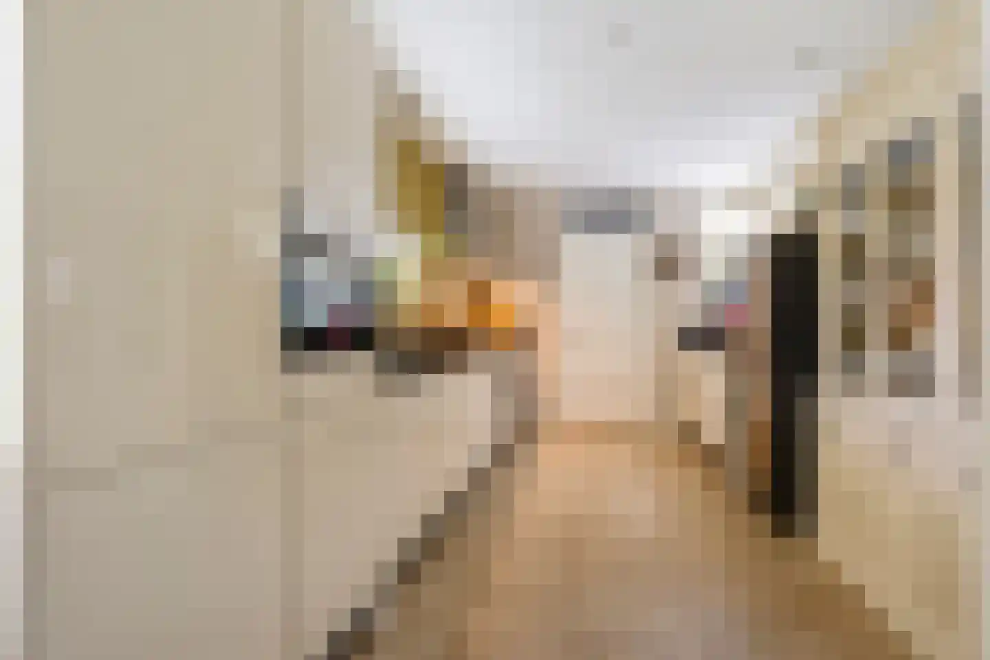 Spinaziestraat 5 Wateringen thumbnail 19