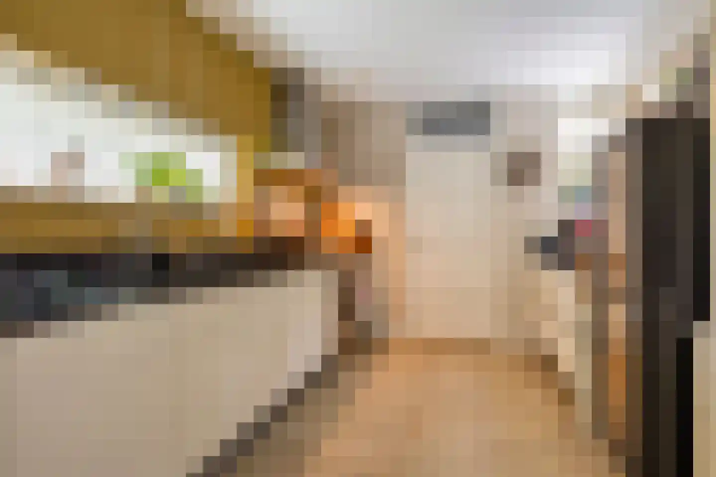 Spinaziestraat 5 Wateringen thumbnail 20