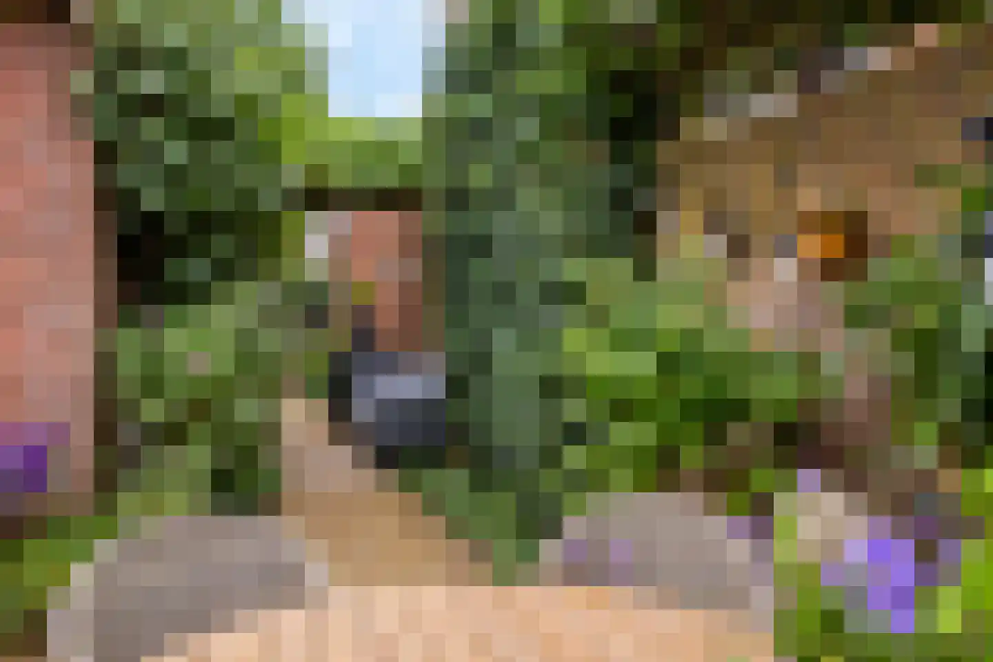 Spinaziestraat 5 Wateringen thumbnail 50