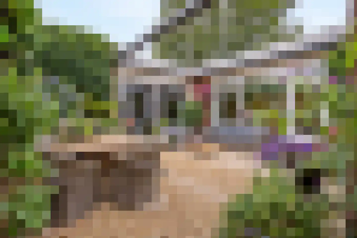 Spinaziestraat 5 Wateringen thumbnail 51