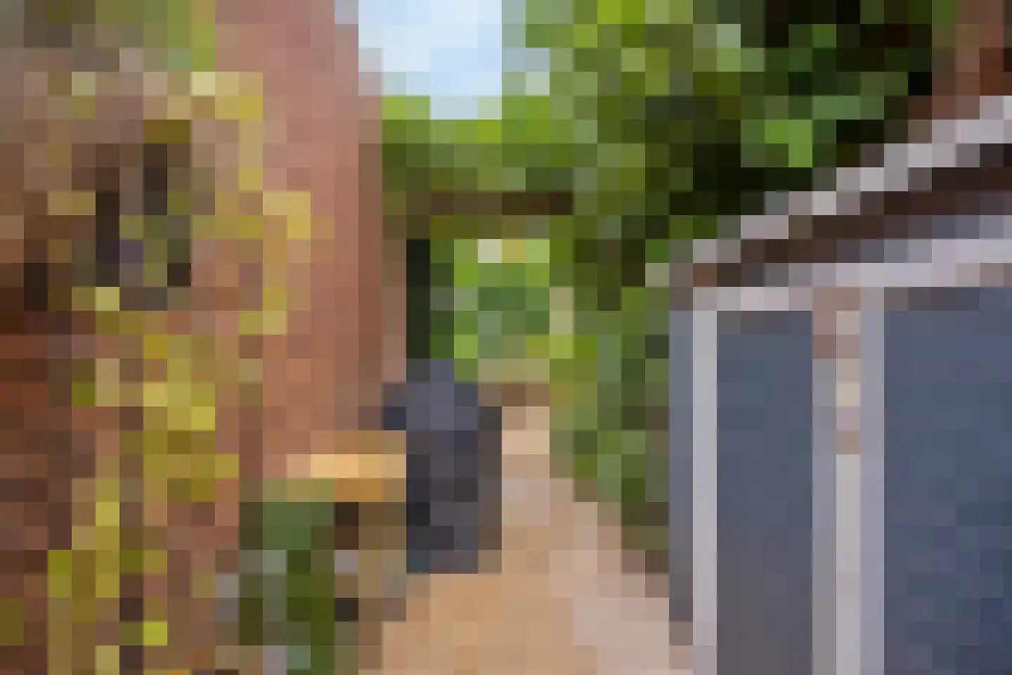 Spinaziestraat 5 Wateringen thumbnail 55