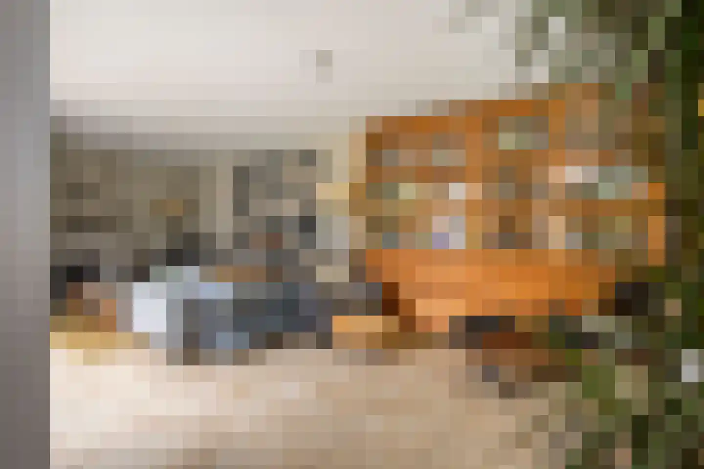 Spinaziestraat 5 Wateringen thumbnail 6