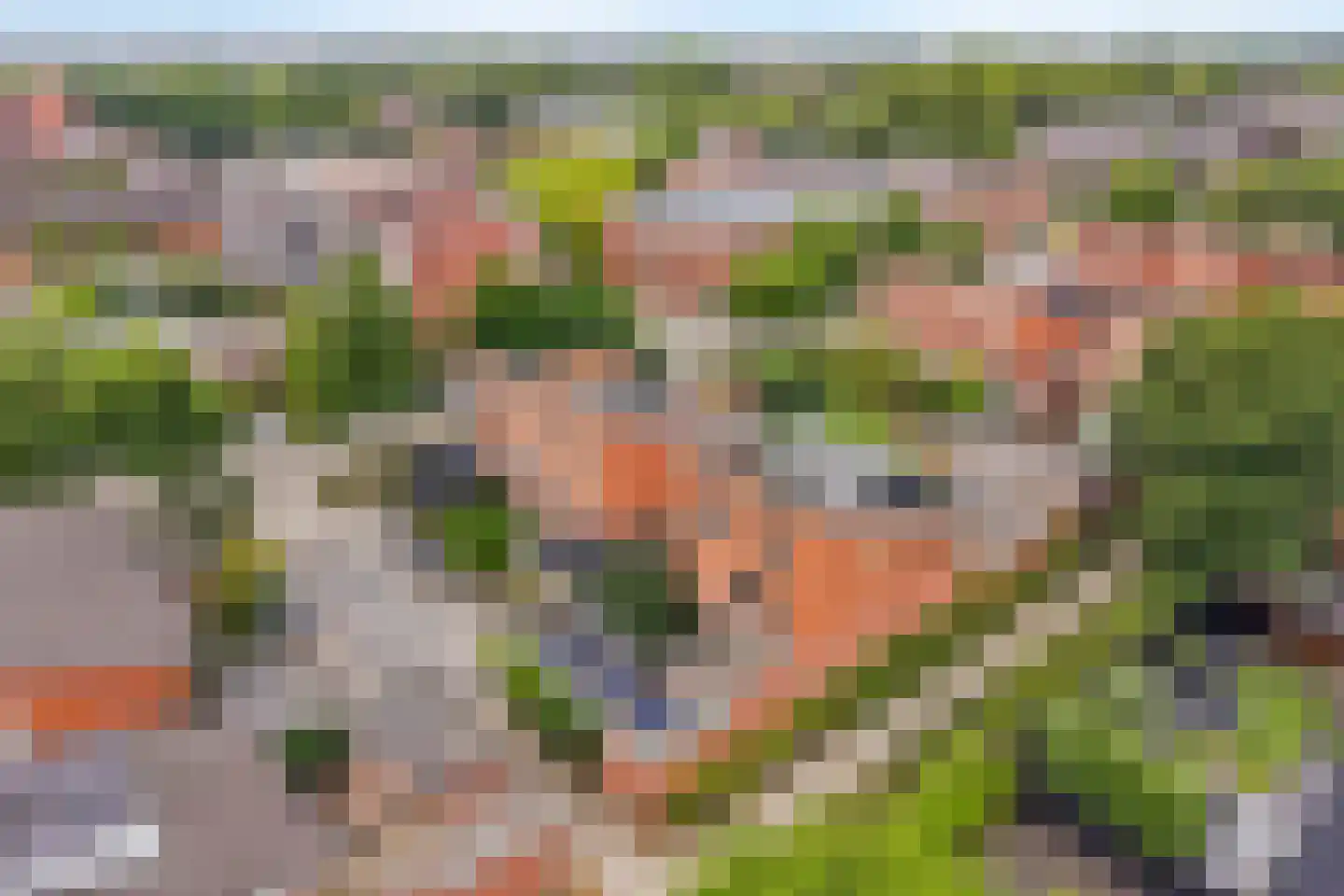 Spinaziestraat 5 Wateringen thumbnail 69