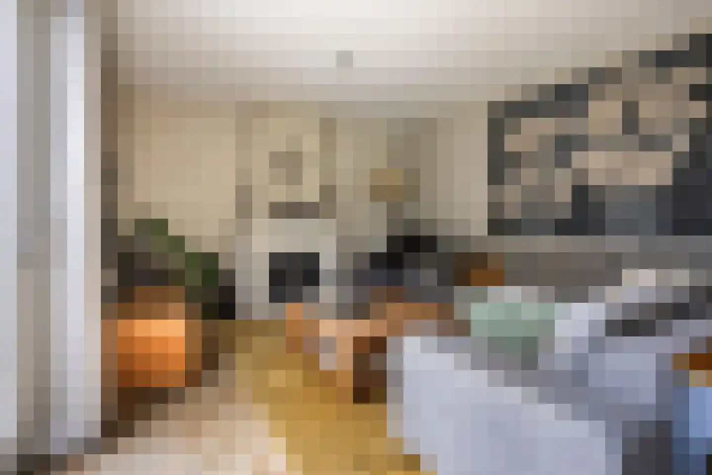 Spinaziestraat 5 Wateringen thumbnail 7