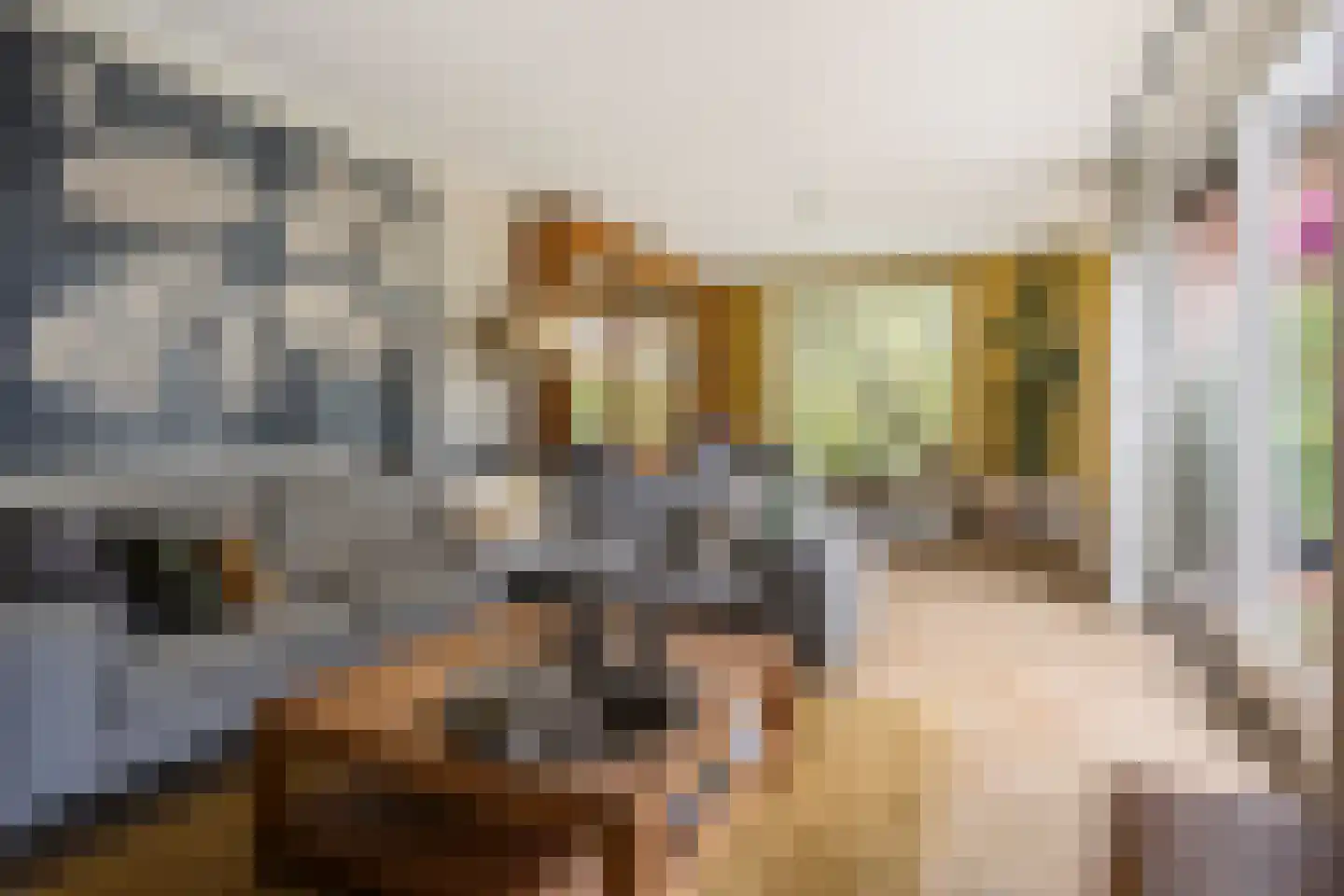 Spinaziestraat 5 Wateringen thumbnail 9