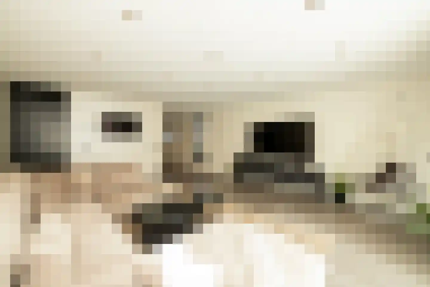 Spinaziestraat 6 Wateringen thumbnail 15