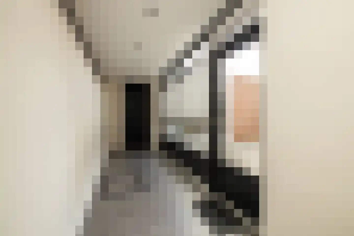 Spinaziestraat 6 Wateringen thumbnail 17