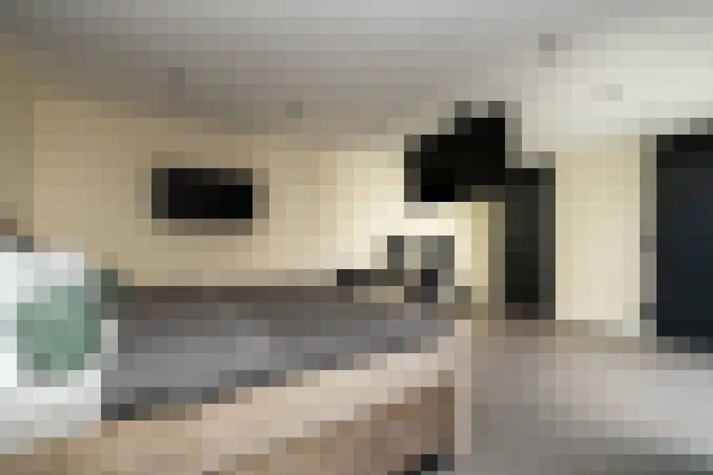 Spinaziestraat 6 Wateringen thumbnail 18