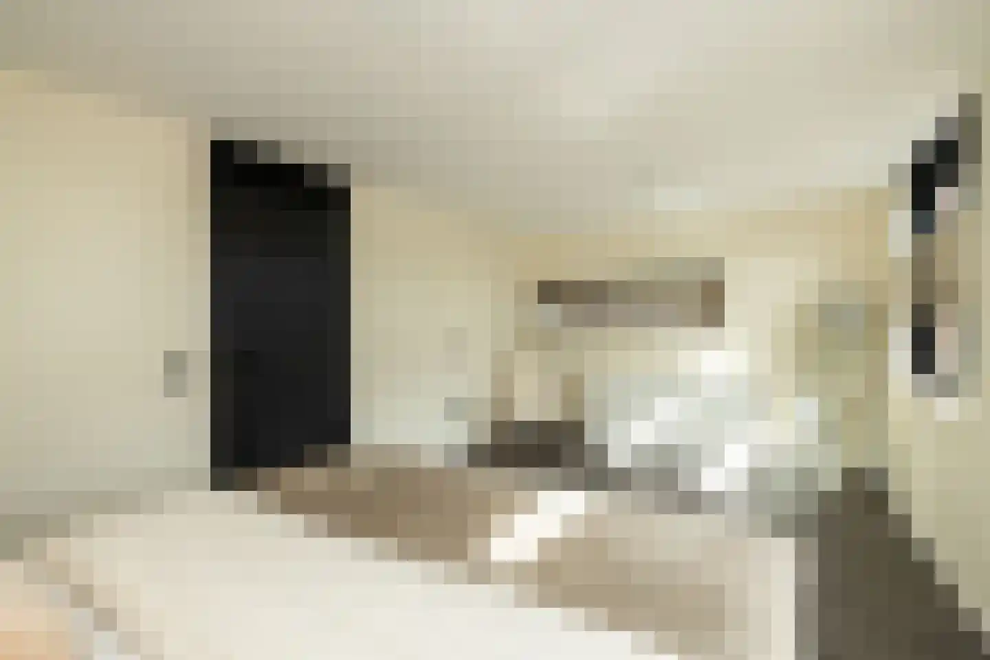 Spinaziestraat 6 Wateringen thumbnail 29