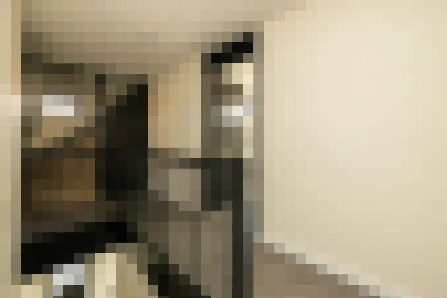Spinaziestraat 6 Wateringen thumbnail 30