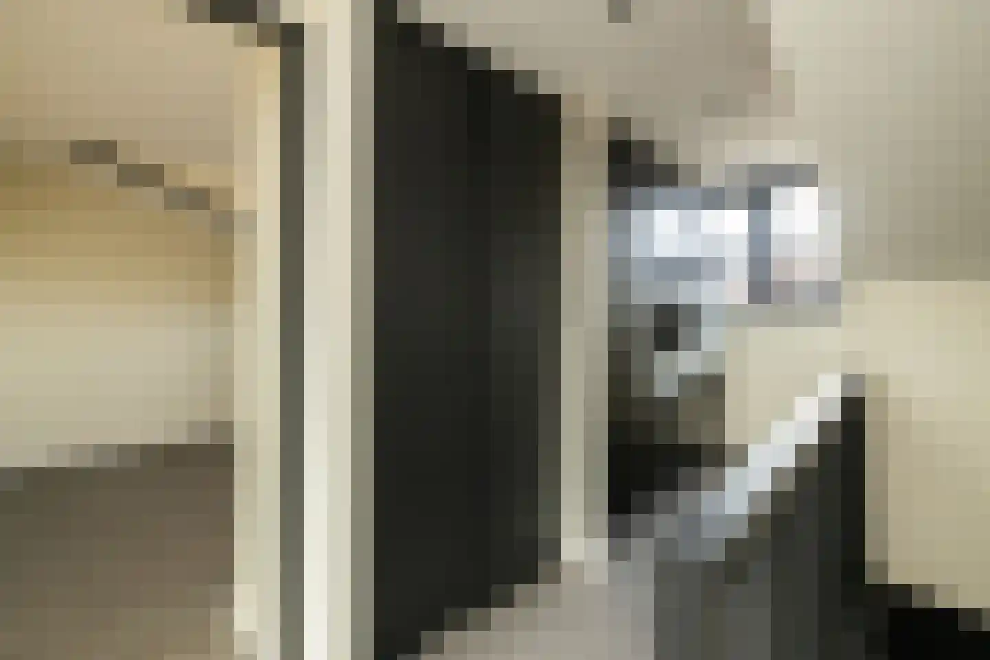 Spinaziestraat 6 Wateringen thumbnail 39