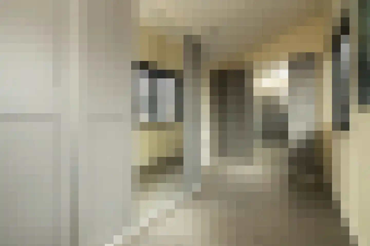 Spinaziestraat 6 Wateringen thumbnail 41